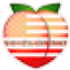 PEACH logo
