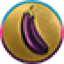 pDONG logo