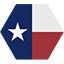 TEXAN logo