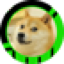 DOGE logo